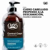 Charle Shampoo Control Caspa Sales Parabenos Extracto Aloe Vera Ayuda