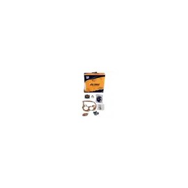 Repuesto Carburador Atlantic Caribe 1.7 1981 A 1987