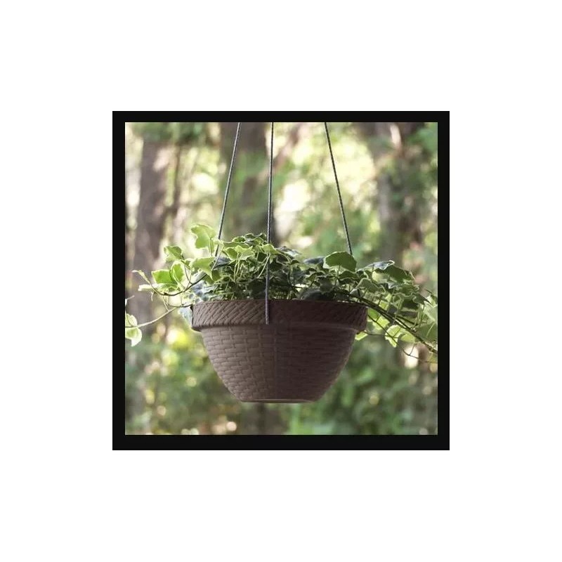 La Ardilla Maceta Colgante De Plastico 26 Cm Paquede De