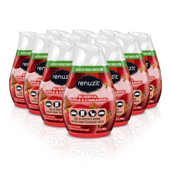 Renuzit - 1717587 Blissful Apple & Cinnamon Adjustable Gel Air Freshener, 7oz Cone (Pack of 12)