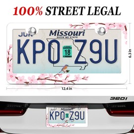 XCLPF 2 Pack White Cherry Blossom License Plate Frames - Aluminum Alloy Rust-Proof Car Accessories, 12x6 Inch Decorative Covers/Holders with Pink Sakura Design, Easy Install for Women or Men