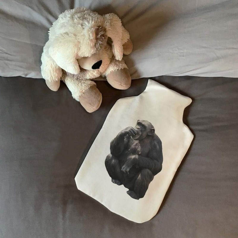 'Chimpanzee' Hot Water Bottle Cover (HW00030909)
