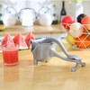 Revolution Studio Original Hand Press Manual Juice Extractor Machine, Juicer