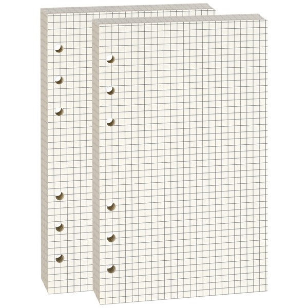 A6 6-Hole Loose-Leaf Paper (2 Packs, 80 Sheets Each, 100GSM,