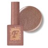 From the Nail Rosy Magnet Gel Single Item FG147 /