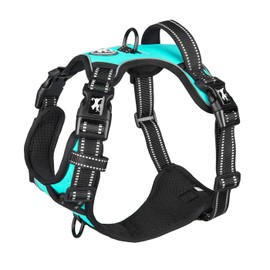PoyPet No Pull Dog Harness with 4 Snap Buckles, Reflective with Front & Back 2 Leash Hooks and an Easy Control Handle [NO Need Go Over Dog’s Head]( Mint Blue,S)