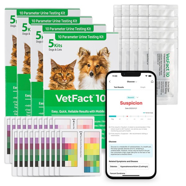 [20 Kits] Free Mobile App 10 Parameter Urine Test Strips
