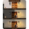 EDISHINE Motion Sensor Outdoor Lights,Wall Mount Lantern Lamp for House