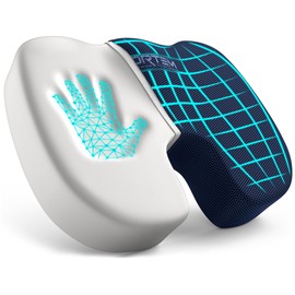 FORTEM Chair Cushion, Seat Cushion for Office Chair, Car Seat Cushion, Coccyx Orthopedic Pillow, Desk Chair Memory Foam Sitting Pillow, Washable Cover (Mesh, Blue)