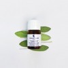 Scalp Balancing Repair Oil Kapilor Ape 28ml / 두피 밸런싱