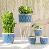 Sass & Belle Blue Mini Cement Planters - Set Of