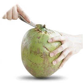 Coconut Opener Tool, Stainless Steel Coconut Opener Easy to Open Young Coconut Water Open Tools for Home Apartment Office Kitchen Restaurant (Black)