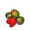 Pitaya Polvo 100 Natural 500