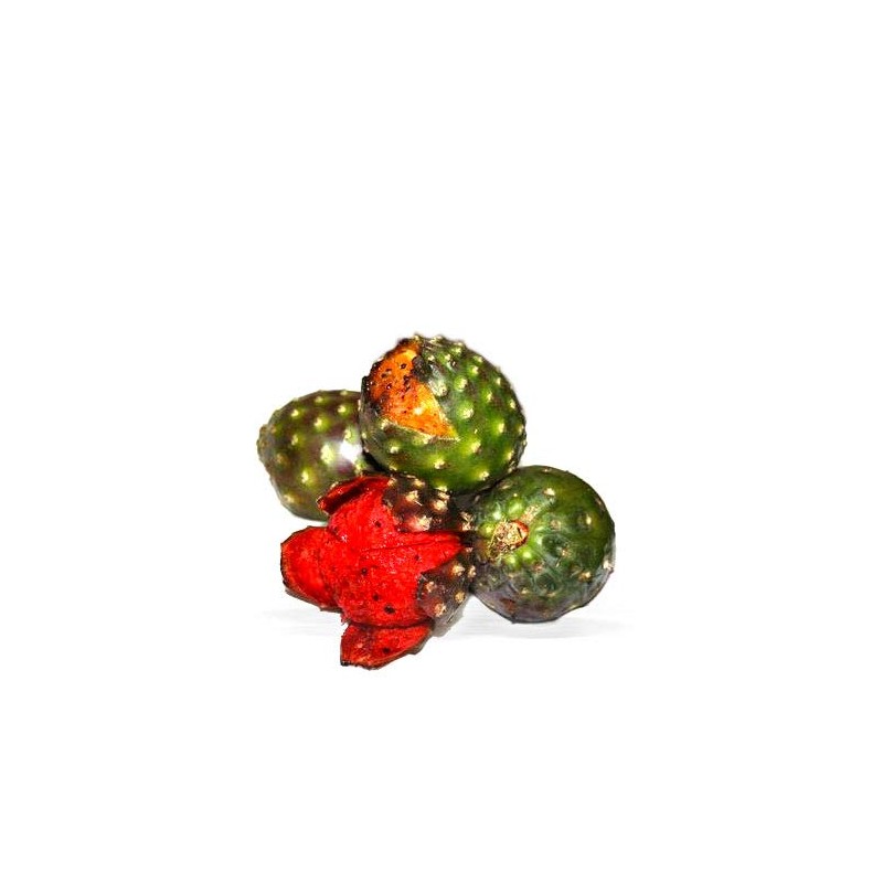 Pitaya Polvo 100 Natural 500