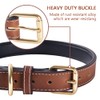 Genuine Leather Padded Dog Collar Comfortable Strong Soft Collars Best