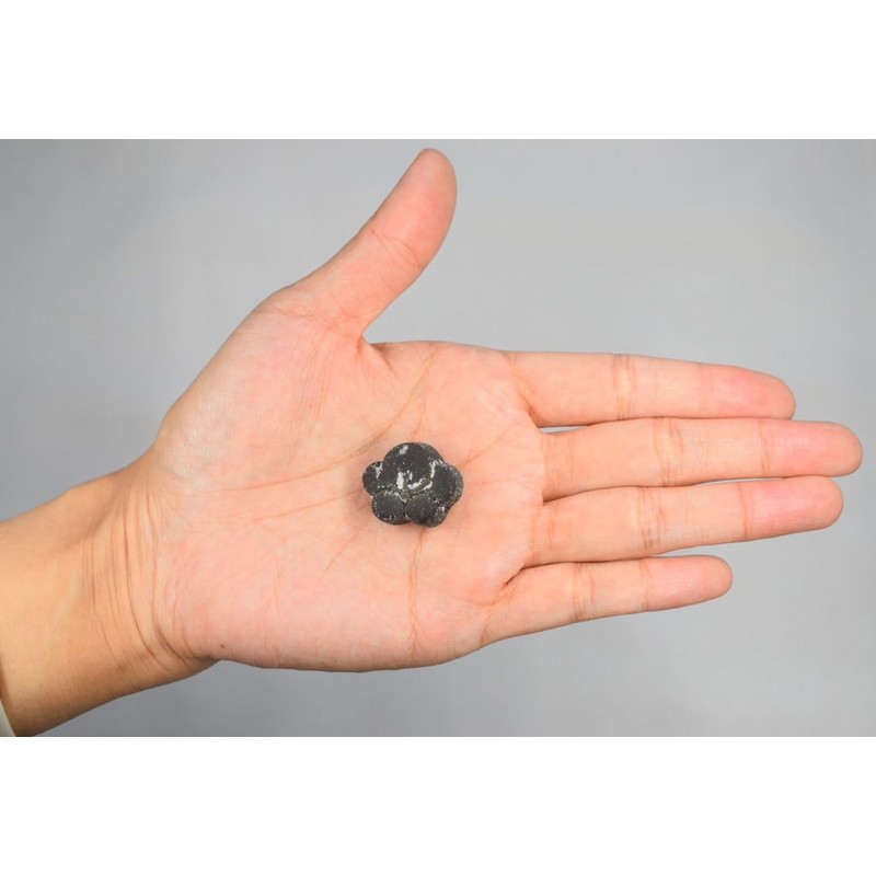 (Plum Meat Extract) Plum Extract Gummy | Nanko Plum from