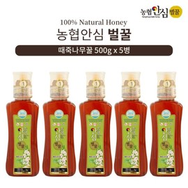 Nonghyup Ansim Beolkkul (인정식탁)농협안심벌꿀 때죽나무 꿀 500g x 5병 (Nonghyup Safe Honey) Honey from the Ziziphus Jujuba Tree 500g x 5 Bottles