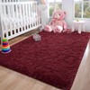 Foxmas Soft Fluffy Area Rugs for Bedroom, Burgundy Red Plush