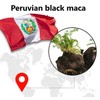 Lifetocol Black Maca 2000 Plus Arginine Zinc