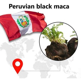 Lifetocol Black Maca 2000 Plus Arginine Zinc