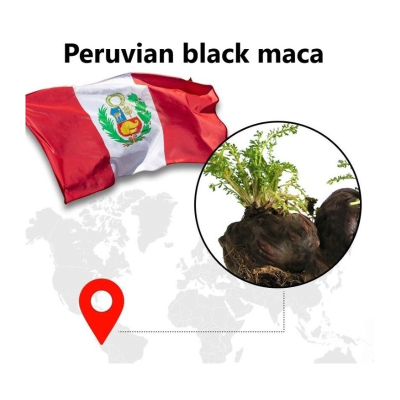 Lifetocol Black Maca 2000 Plus Arginine Zinc