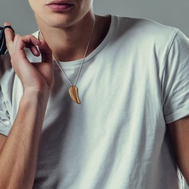 COAI Mens Stainless Steel Tiger Eye Wolf Tooth Pendant Necklace, Stone, Tigers Eye