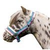 Funny Horses HKM Headcollar, Horse Headcollar, Pasture and Stable Headcollar,