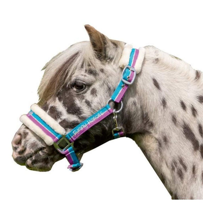 Funny Horses HKM Headcollar, Horse Headcollar, Pasture and Stable Headcollar,
