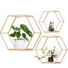 LMYDIDO Set of 3 Hexagon Wall Shelves, Hanging Shelves, Metal