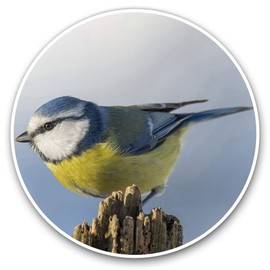 2 x Heart Stickers 10 cm - Blue Tit Bird Garden Birds Fun Decals for Laptops,Tablets,Luggage,Scrap Booking,Fridges #3119