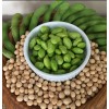 Mai's Family BeSweet Edamame Soy Bean Seeds | USA Non-GMO