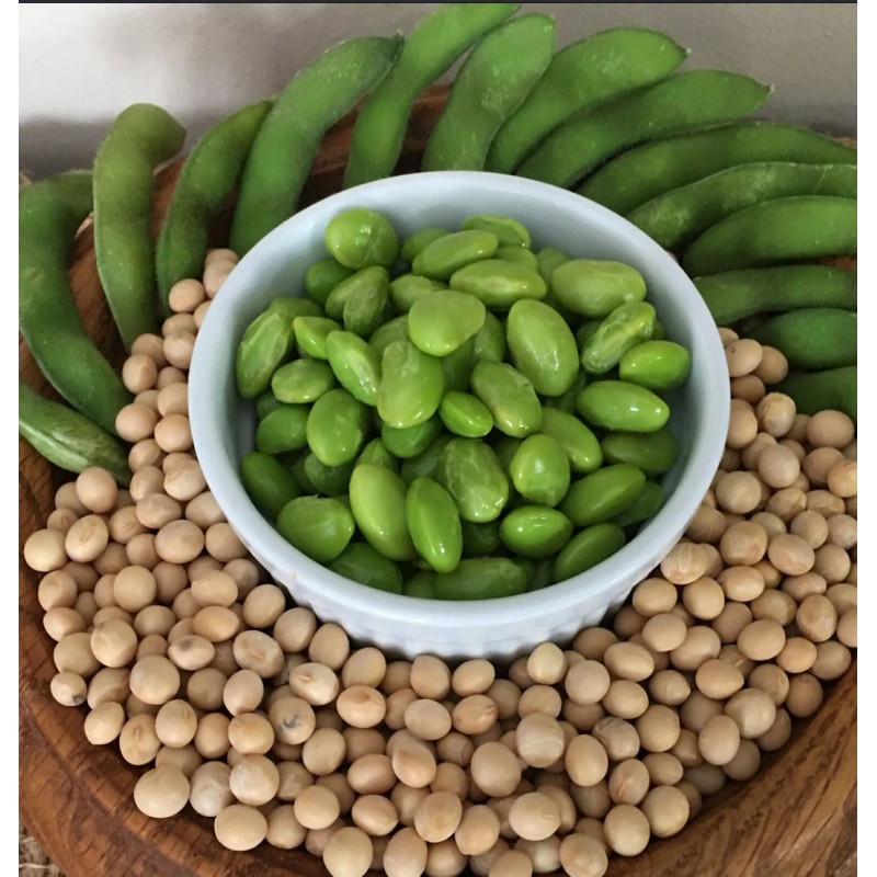 Mai's Family BeSweet Edamame Soy Bean Seeds | USA Non-GMO