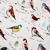 Birdsong Cotton Apron