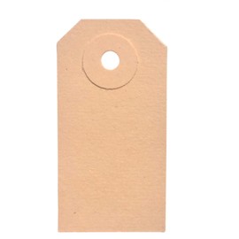 BT-Label 1000 Tags 30 x 60 mm with Hole (Reinforced Cardboard Eyelet), as Goods Tags, Cardboard Tags, Hanging Notes, Paper Tags, Cardboard Labels