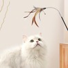SONGWAY Cat Toy, Feather, Popular, Feather, Cat Toy, Natural Feather,