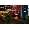 Boland 72321 Luminous Pumpkin, Orange, Standard Size
