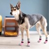 PUPTECK 2 Pairs of Dog Socks Non-Slip Dog Shoes Paw