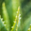 Biomaná Gel Hidratante con Aloe Vera para después del bronceado