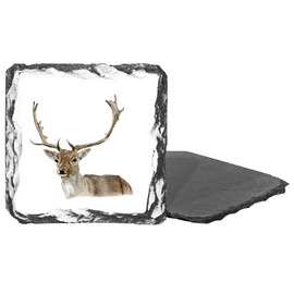 Reindeer Wildlife Slate Drinks Coaster, Square 9 cm, British Design