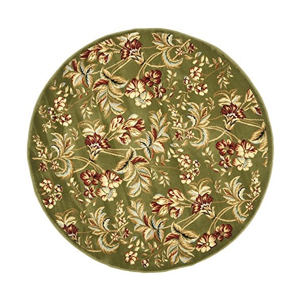 Safavieh Lyndhurst Collection LNH326B Traditional Floral Area Rug, 8' x