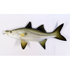 Replica Snook Ocean Coastal Fly Fishing Wall Decor