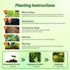 Outsidepride Green Wildflower Seed Mix - 5000 Pcs Annual, Vibrant,