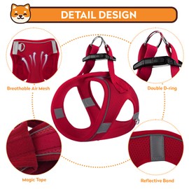 PWOD Dog Harness with Leash Set, No-Pull Step-in Reflective Pet Harness with 1 Leash Clips, Adjustable Soft Padded Easy Walk Dog Vest for Small Medium Large Dogs, Cats(Bright Red, XSmall)
