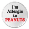 A&T Designs - I'm Allergic to PEANUTS 3" Sew On