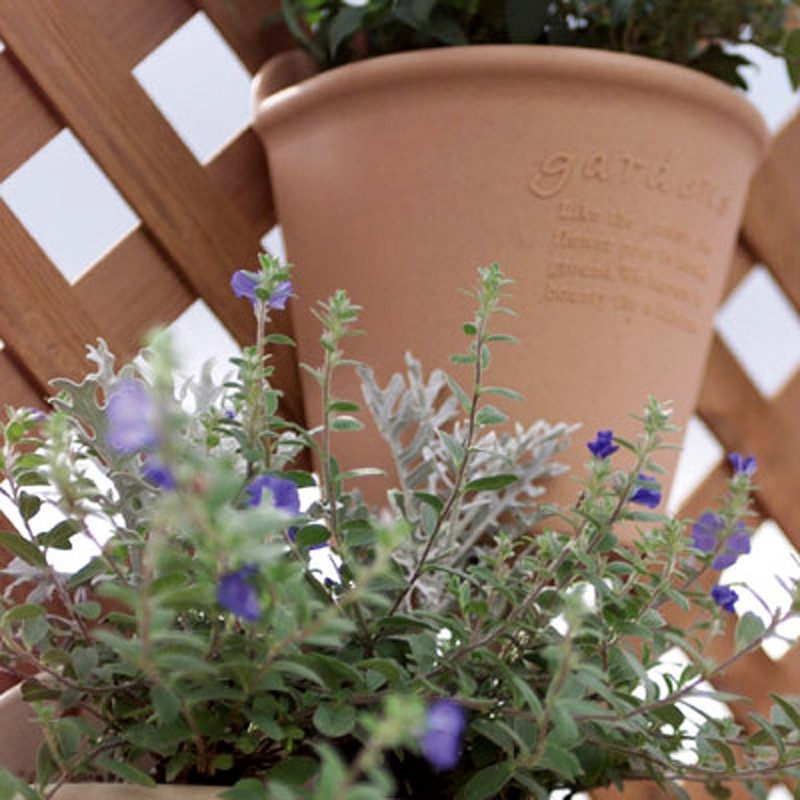 Gardens Eco Pot Series