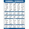 4 Pack - Cable Machine Workout Posters Volume 1 &