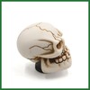 Motoforti Universal Skull Head Style Car Auto Manual Gear Shift