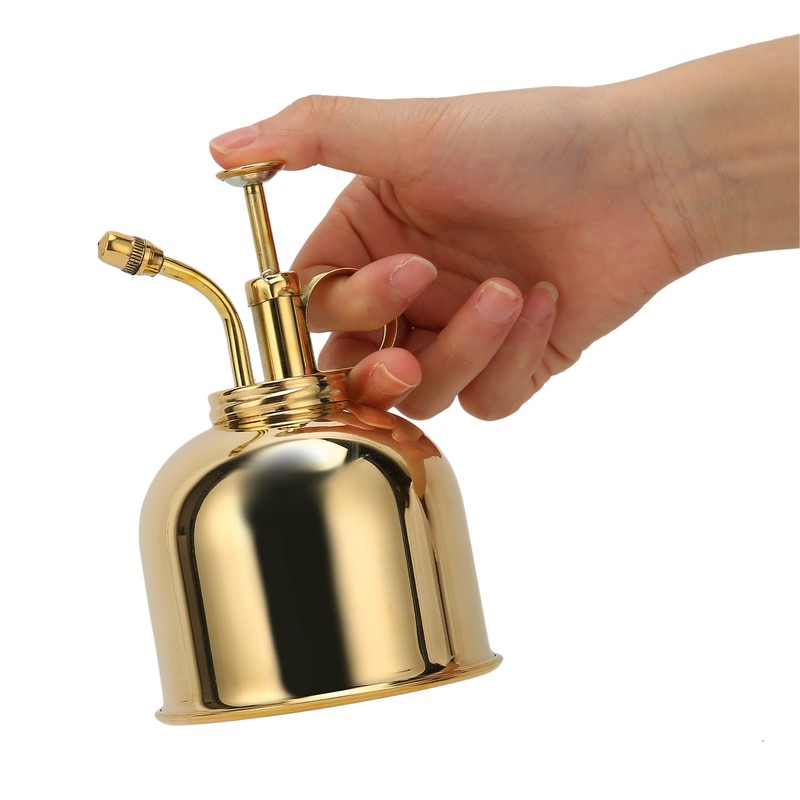 Professional Stainless Steel Watering Can with Top Pump for Succulent