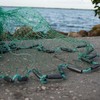 Bait Buster Mullet Cast Nets 1-1/4" Sq. Mesh (6 ft.