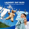 Lysol Laundry Sanitizer Additive, Free & Clear, Free from Fragrance